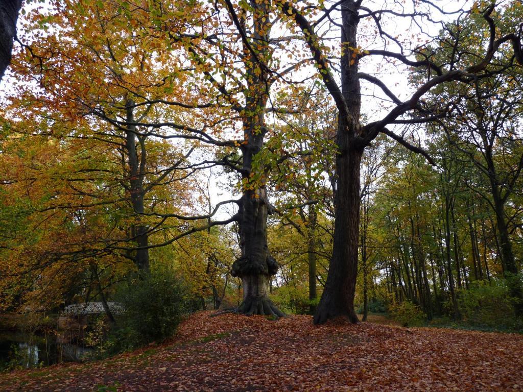 Eremyten Hof Evergem Exteriör bild